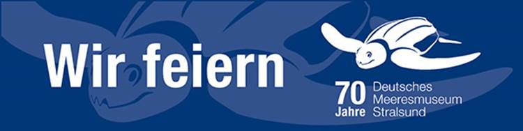 210120_signaturbanner_70_jahre_dmm_600x150