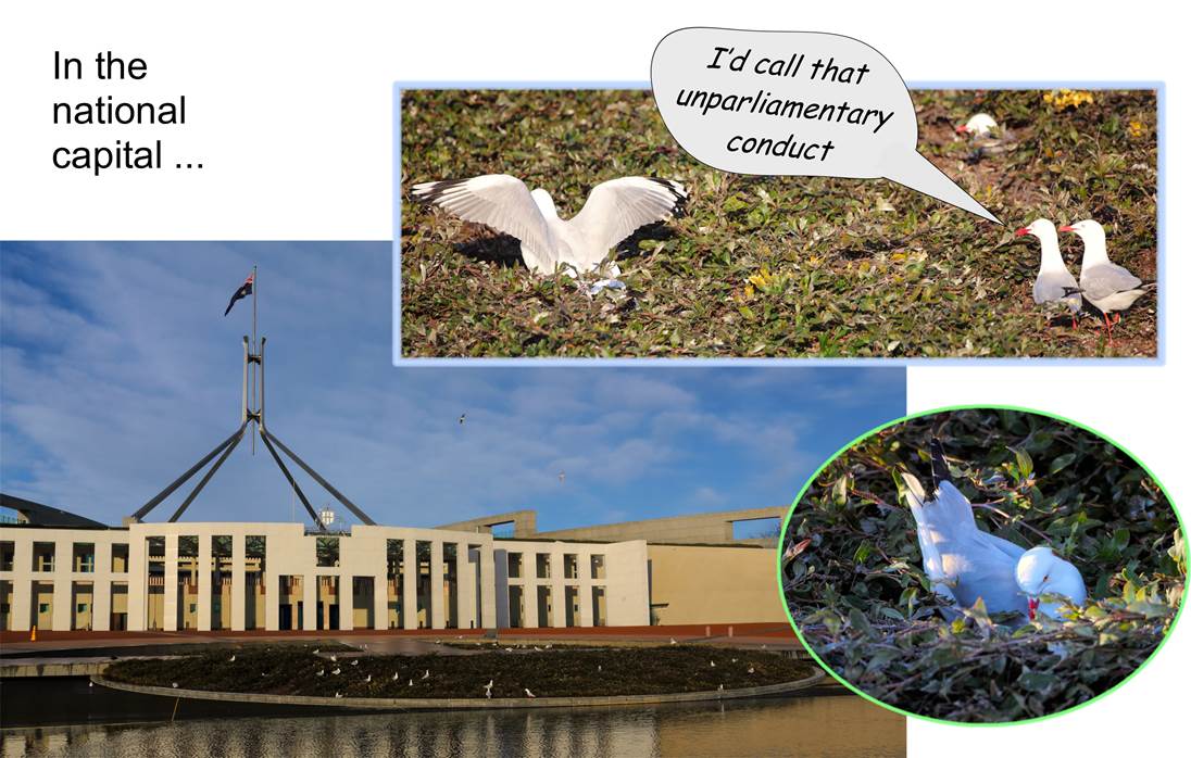 A close up of a sign

Description automatically generated