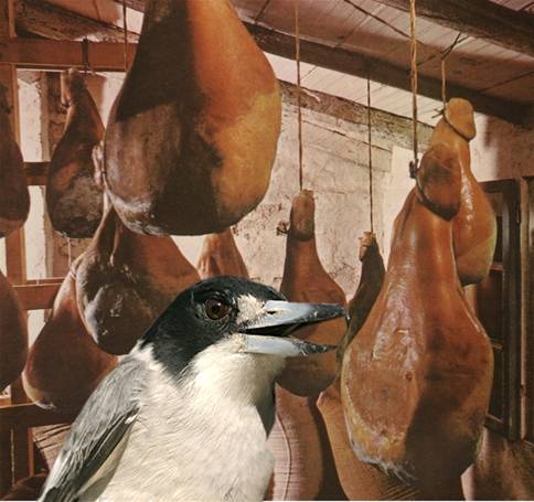 larder_3051.JPG