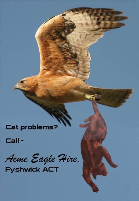 cat text_5426.jpg
