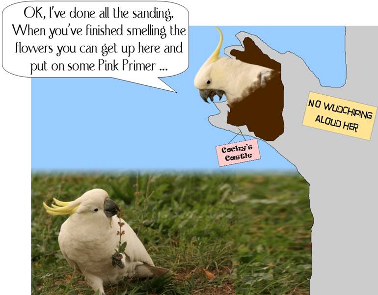 A Cockup_1346.JPG