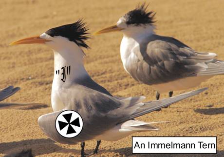 IT.jpg
