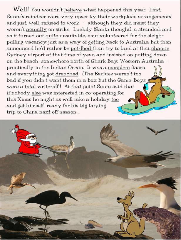 an Australian Christmas card.jpg