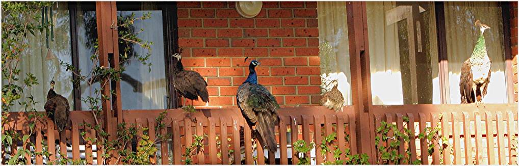 new tenants_8553.jpg