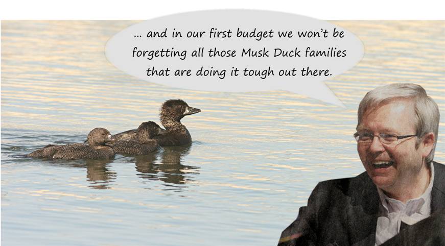 budget.jpg