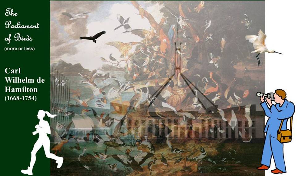 parlt of birds 2.jpg