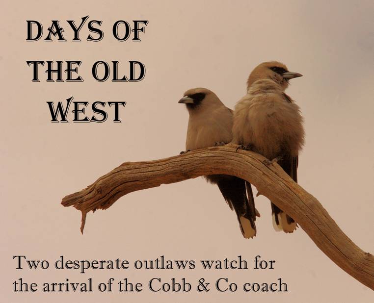 old west.jpg
