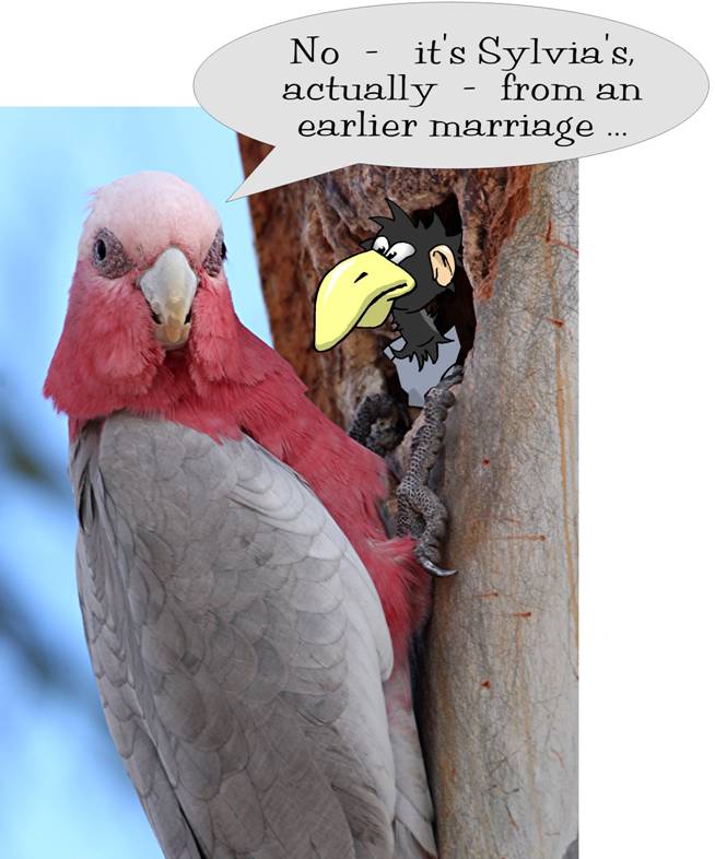 Sylvia's, actually.jpg