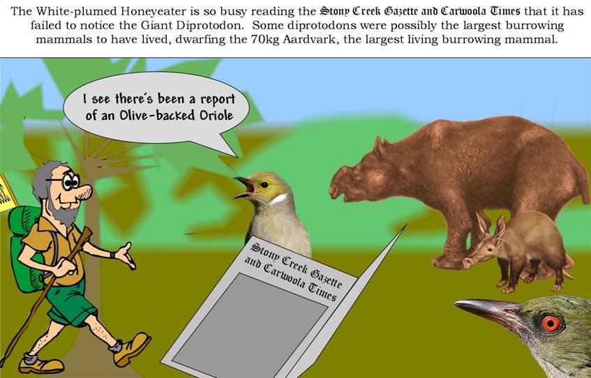 Carwoola Times.jpg