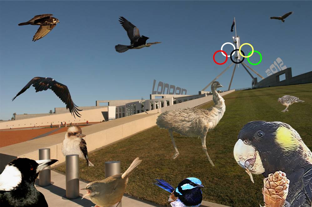 Olympics .jpg