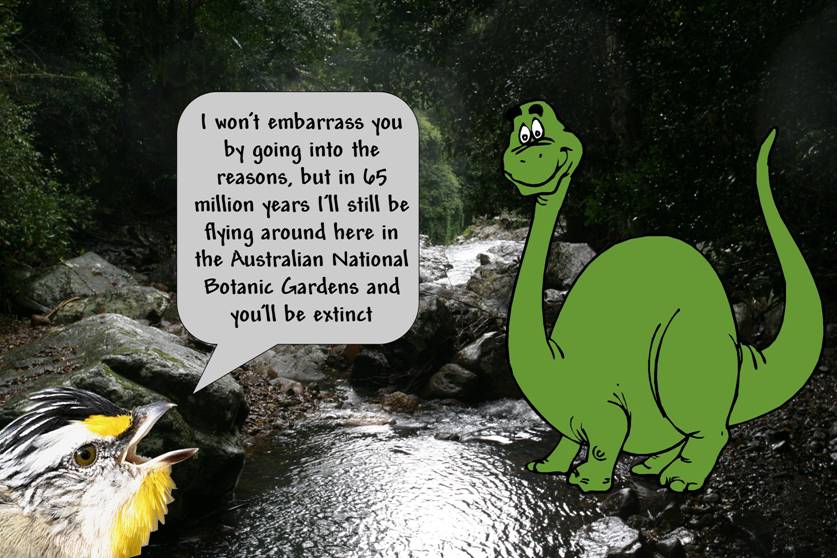 the fossil record.jpg