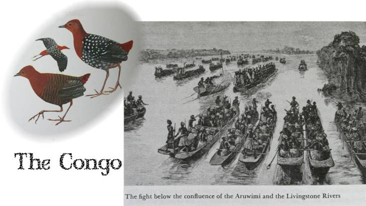 the congo.jpg