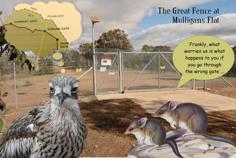 the gate.jpg