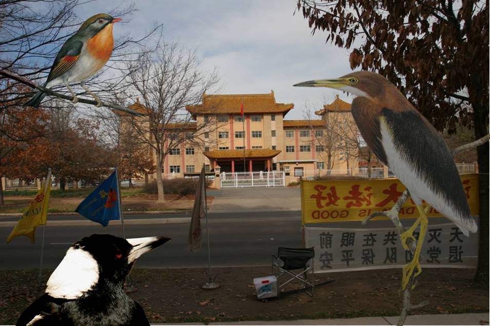The Embassy of China.jpg