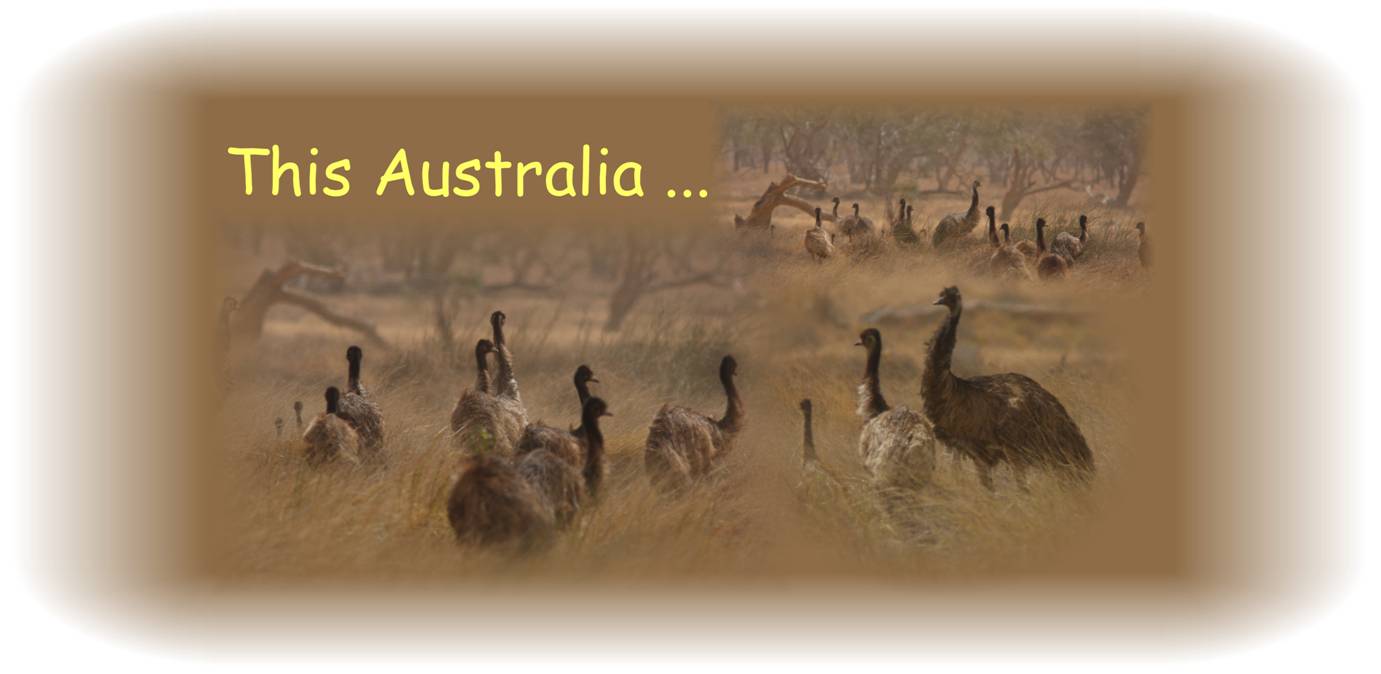 this Australia.jpg