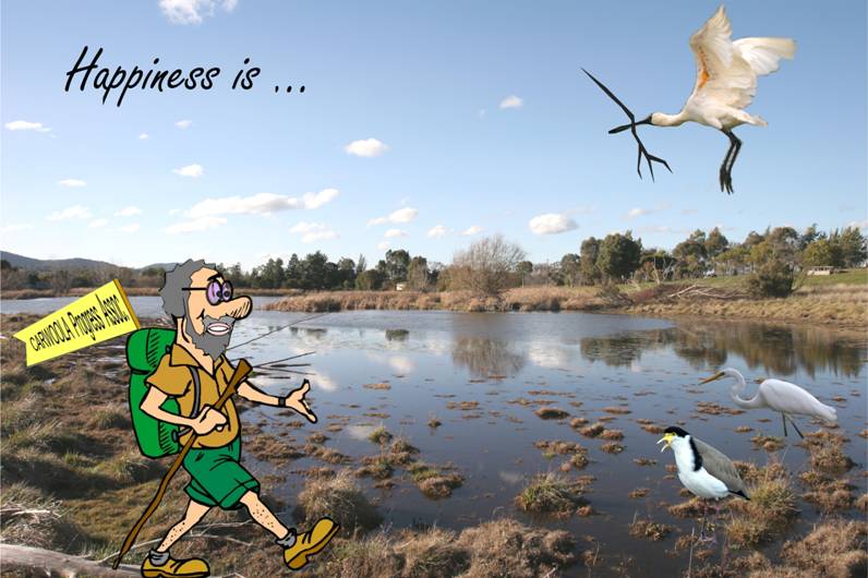 The Stick.jpg