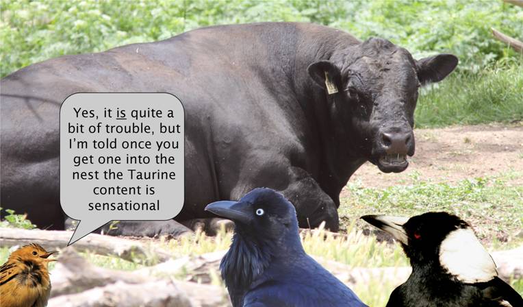 the promotion.jpg