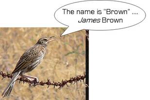 James Brown.jpg
