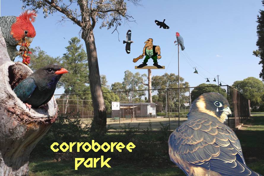 at corroboree park.jpg