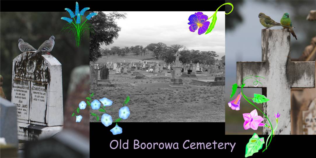 at boorowa.JPG