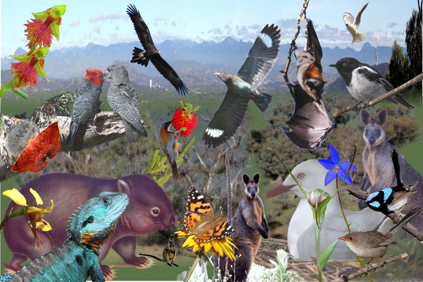 The Completed Project.jpg