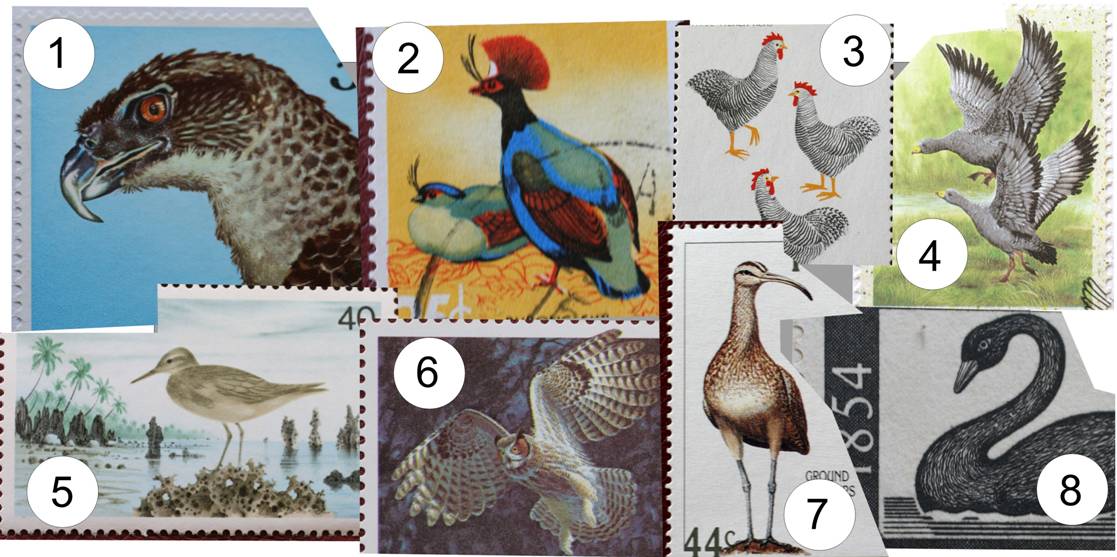 STAMPS quiz.jpg
