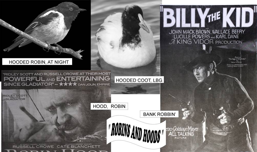 hoods & robins.jpg