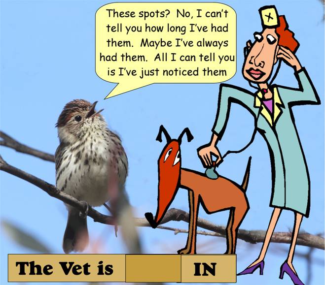 the patient.jpg