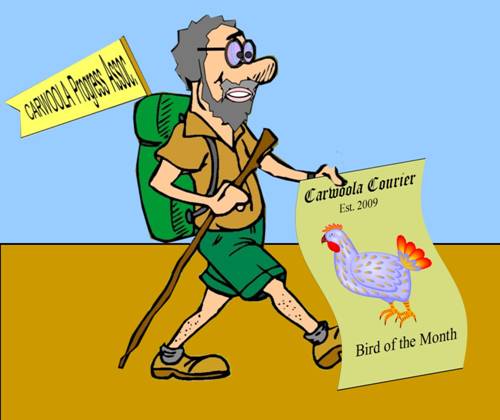 monthbird.jpg
