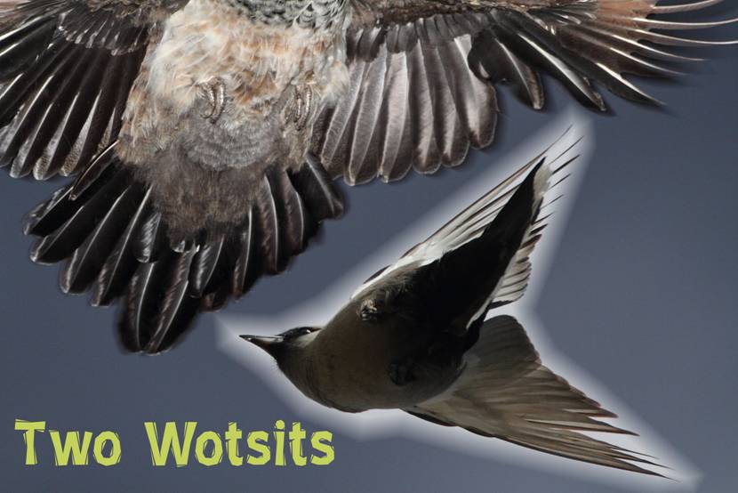2 wotsits.jpg