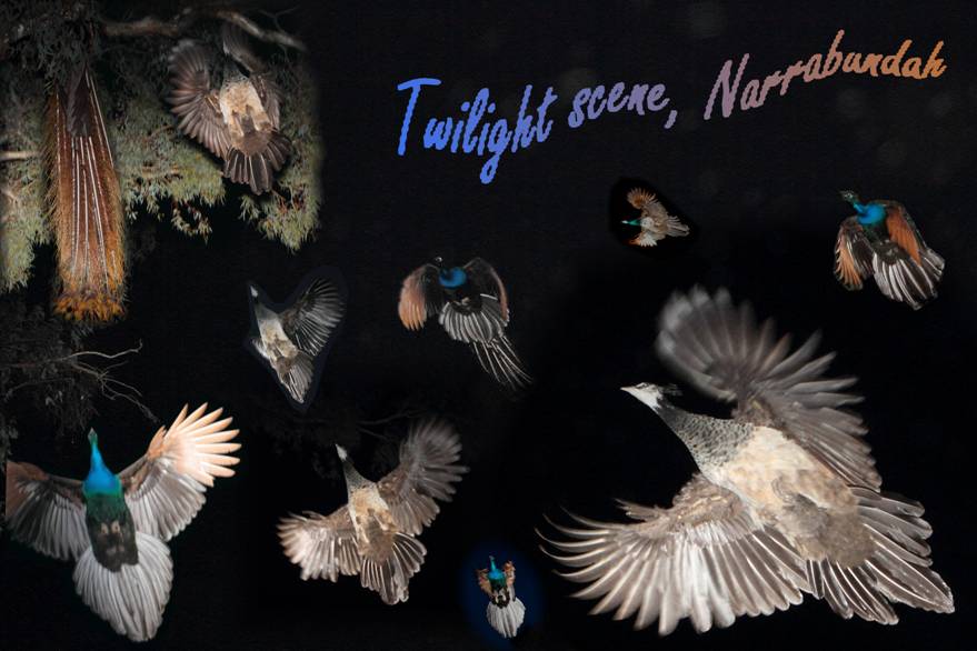 twilight scene 3.jpg