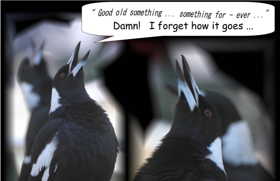 singers.jpg