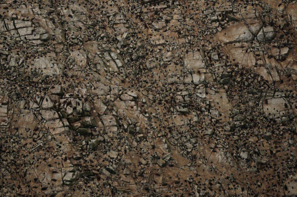 363_Depot I. closeups, Bounty Is_ 20101012_low res.jpg