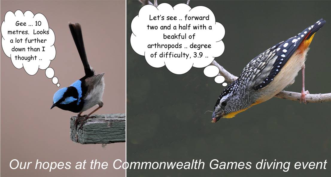 divers.jpg