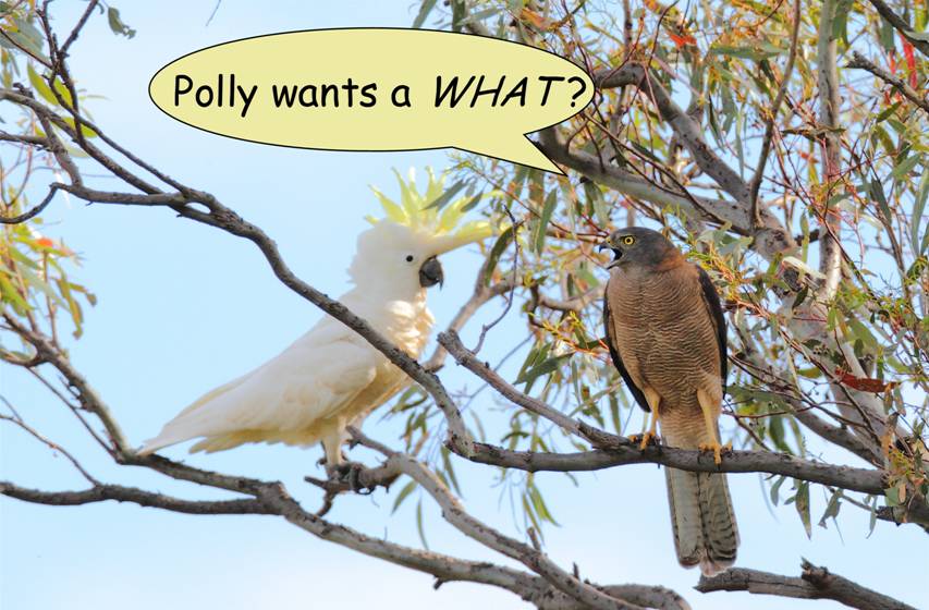 just asking.jpg