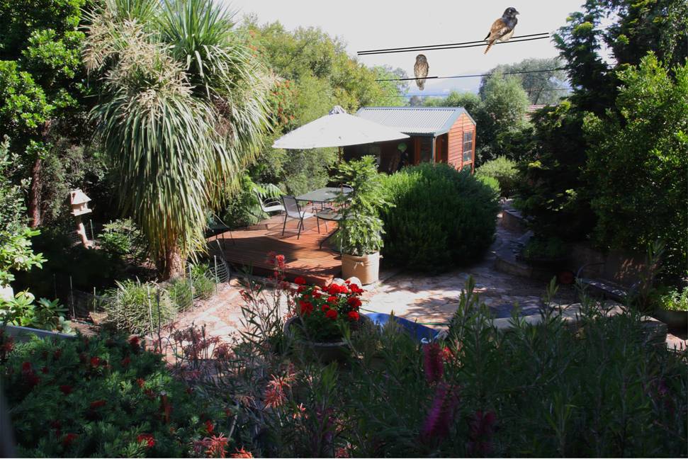a Canberra garden.jpg