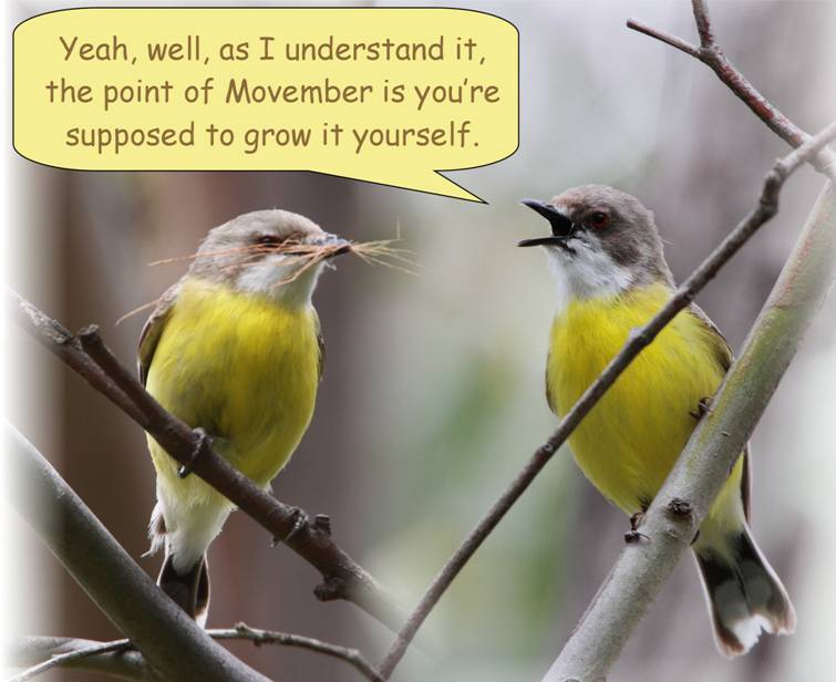 only joking.jpg
