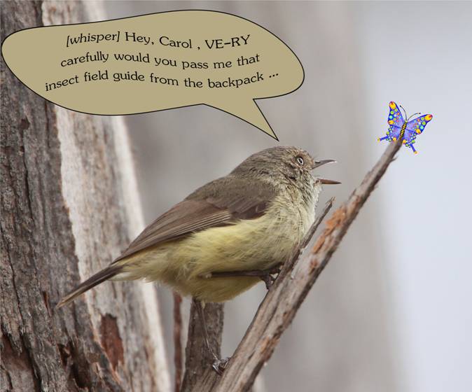getting the bug.jpg