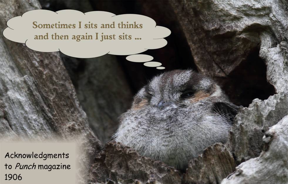 the philosopher TIF.jpg