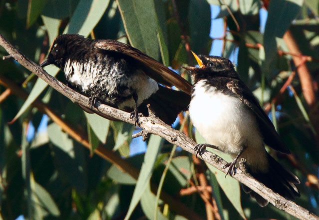 WWT110130_9215B.jpg