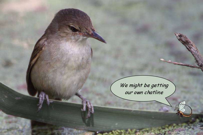 news spreads fast.jpg