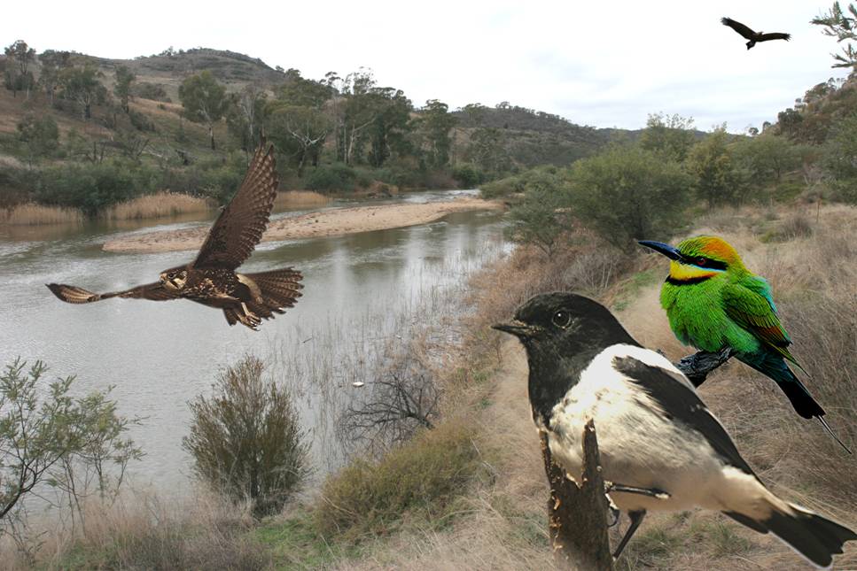 tharwa 'wash.jpg