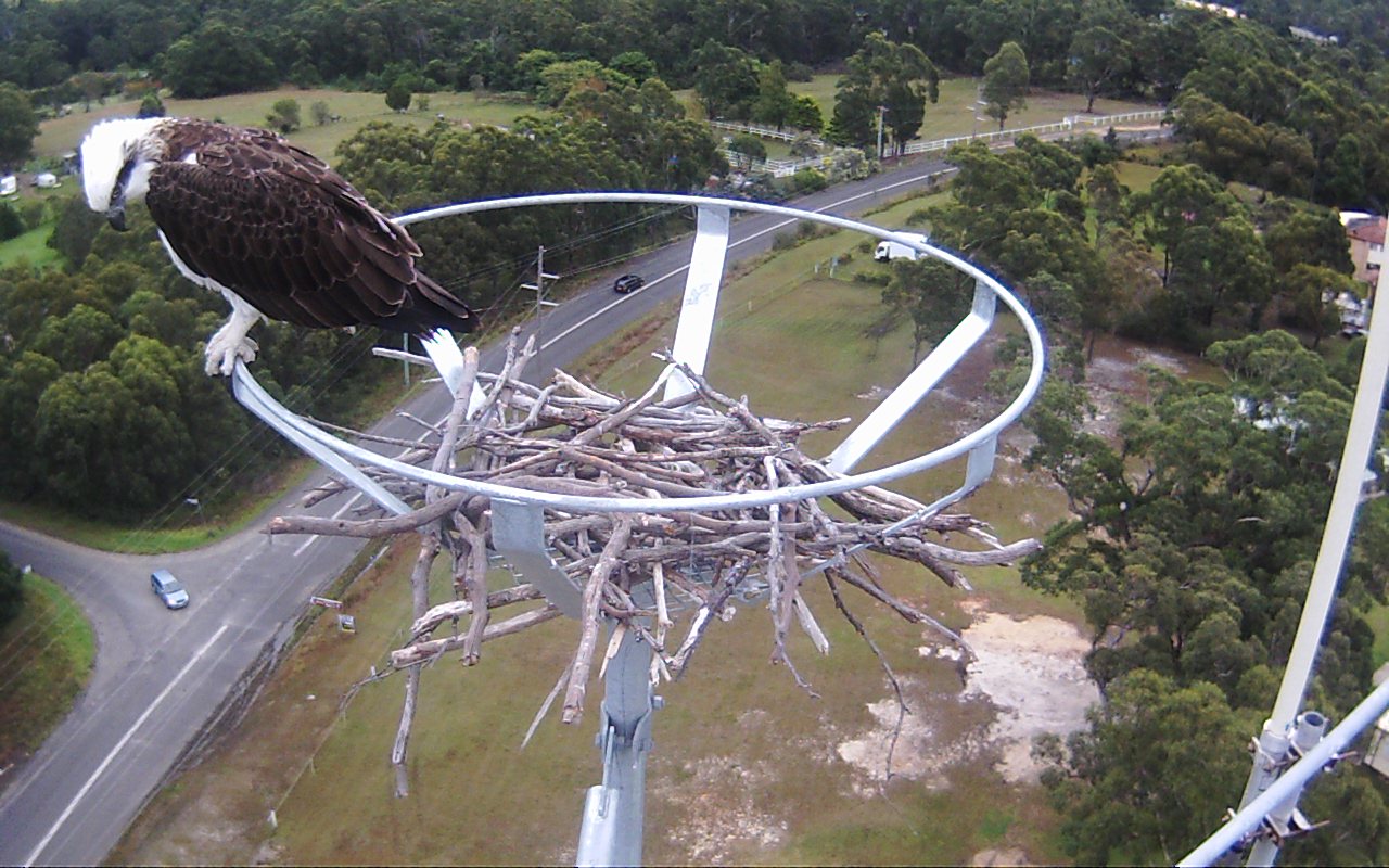 Eagle's Nest