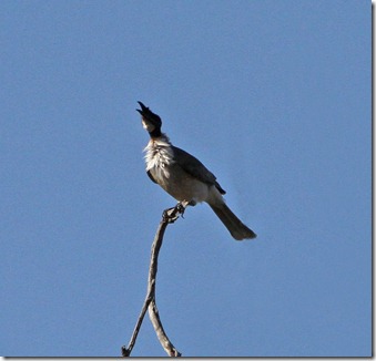 IMG_7270_edited-3