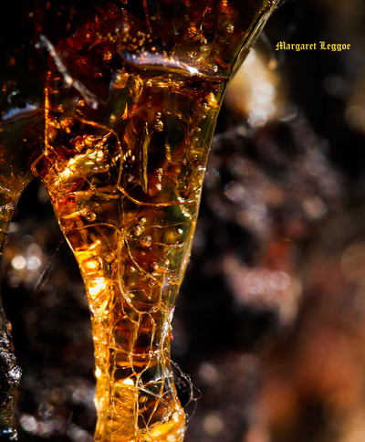 acaciaresing3layers-stack_121023edited-copy.jpg