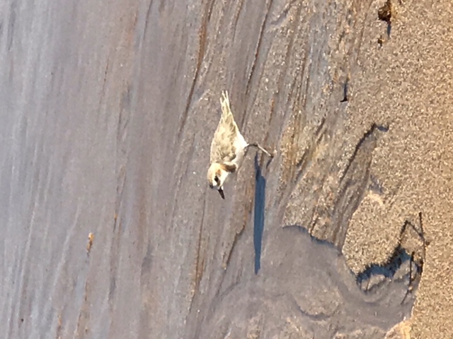 image1.jpeg