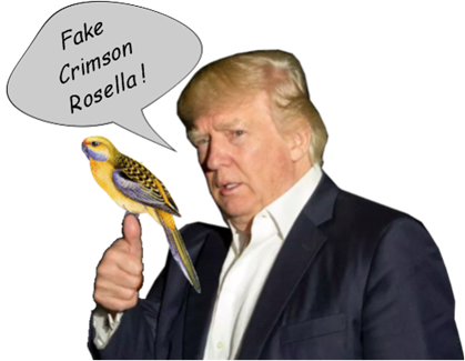 fake