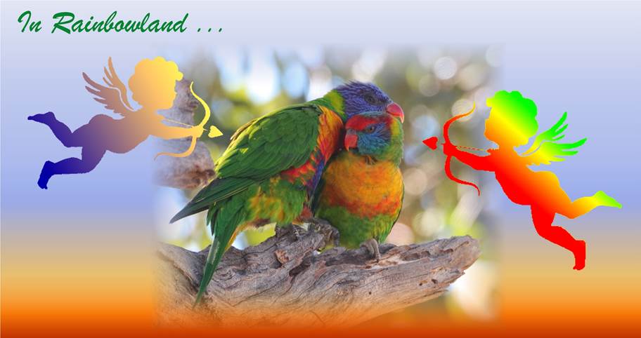 A close up of a parrot

Description automatically generated