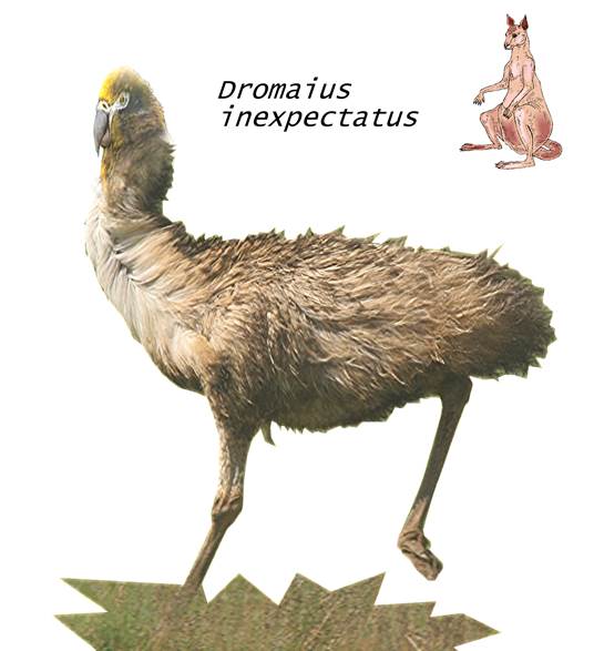 A close up of an animal

Description automatically generated