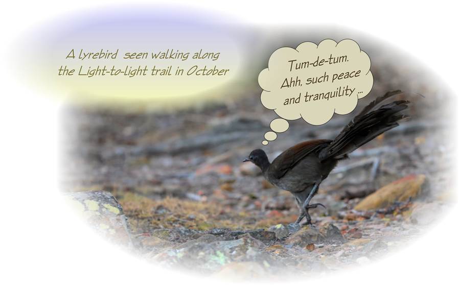 A picture containing animal

Description automatically generated